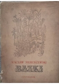 Bajki