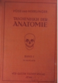 Taschenbuch der Anatomie