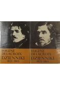Dzienniki 1822 1863 2 tomy