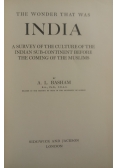The Wonder That Was India