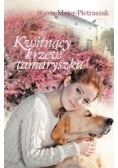 Kwitnący krzew tamaryszku