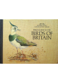 Field guide to the birds of britain
