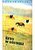 Żyto w dżungli, 1936r.