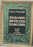 Ziołowa apteczka domowa