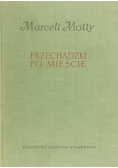 Przechadzki po mieście, Tom I