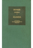 Homer, dzieła i Iliada
