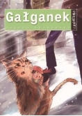 Gałganek