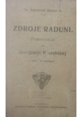 Zdroje Raduni. Przewodnik po tak zw. Szwajcaryi Kaszubskiej, 1913 r.