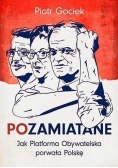 POzamiatane. Jak PO porwała Polskę