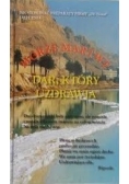 Morze Martwe dar, który uzdrawia