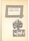 Kamienna muzyka