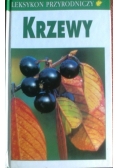 Krzewy