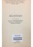 Morfologia.