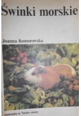 Świnki morskie