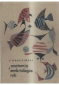 Anatomia i embriologia ryb