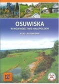 Osuwiska w województwie małopolskim. Atlas - przewodnik