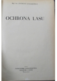 Ochrona lasu