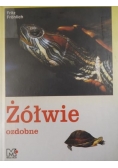 Żółwie ozdobne