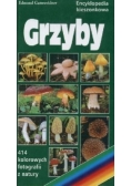 Encyklopedia kieszonkowa Grzyby