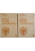 Dzieje Polski Nowożytnej Tom I i II