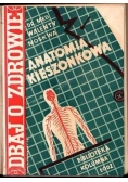 Anatomia kieszonkowa