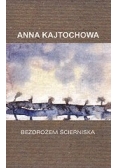 Bezdrożem ścierniska