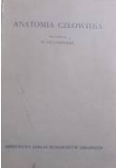 Anatomia Człowieka