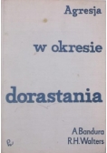 Agresja w okresie dorastania