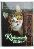 Kłębuszek snu