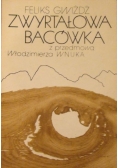 Zwyrtałowa bacówka pod Wesołym Wierchem