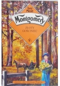 Złoty gościniec