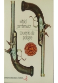 Souvenirs de pologne