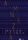 Amnezja