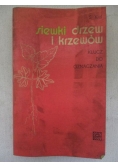 Siewki drzew i krzewów