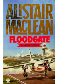 Floodgate