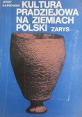 Kultura pradziejowa na ziemiach polskich zarys