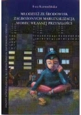 Młodzież ze środowisk zagrożonych marginalizacji wobec własnej przyszłości