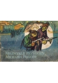 Niezwykłe przygody Michasia Pogody