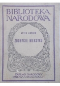 Zdobycie Meksyku