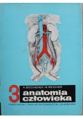 Anatomia człowieka Tom 3