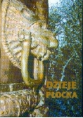 Dzieje Płocka, Tom 1