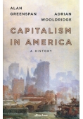 Capitalism in America
