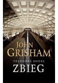 Theodore Boone: Zbieg