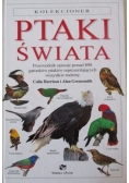 Ptaki świata