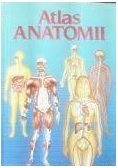 Atlas anatomii