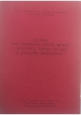 Studia nad grodami epoki i brązu i wczesnej epoki i wczesnej epoki żelaza w Europie Środkowej