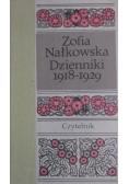 Dzienniki 1918-1929