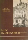 Pałac Działyńskich w Poznianiu