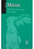 Sindbad powraca do domu