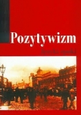 Pozytywizm. Języki epoki